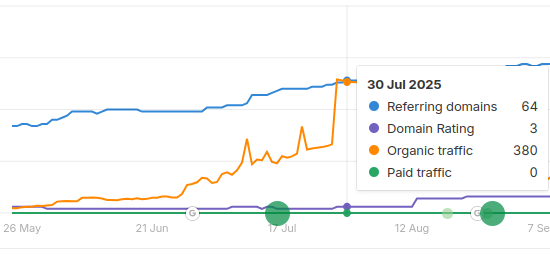 SEO 12x results. Traffic increased from 23 visits per month to 380 per month.